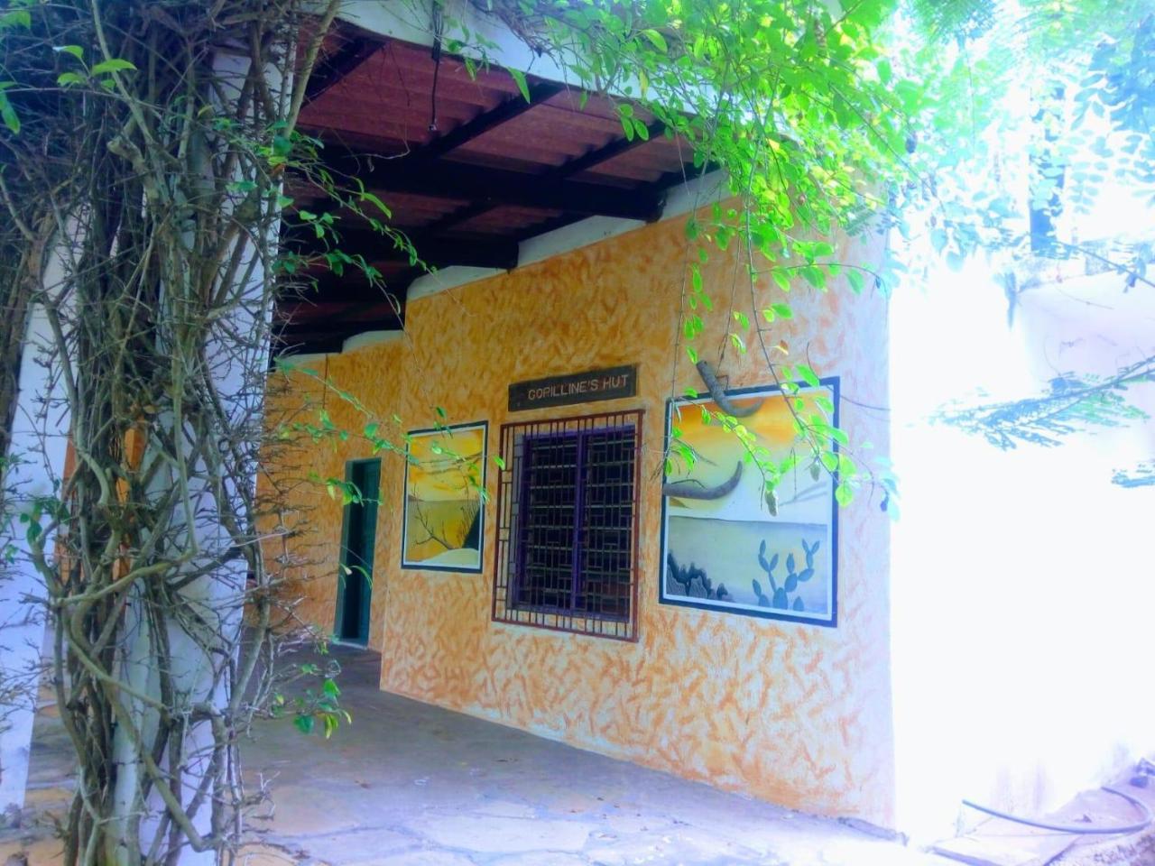 Pashmina House Acomodação com café da manhã Watamu Exterior foto